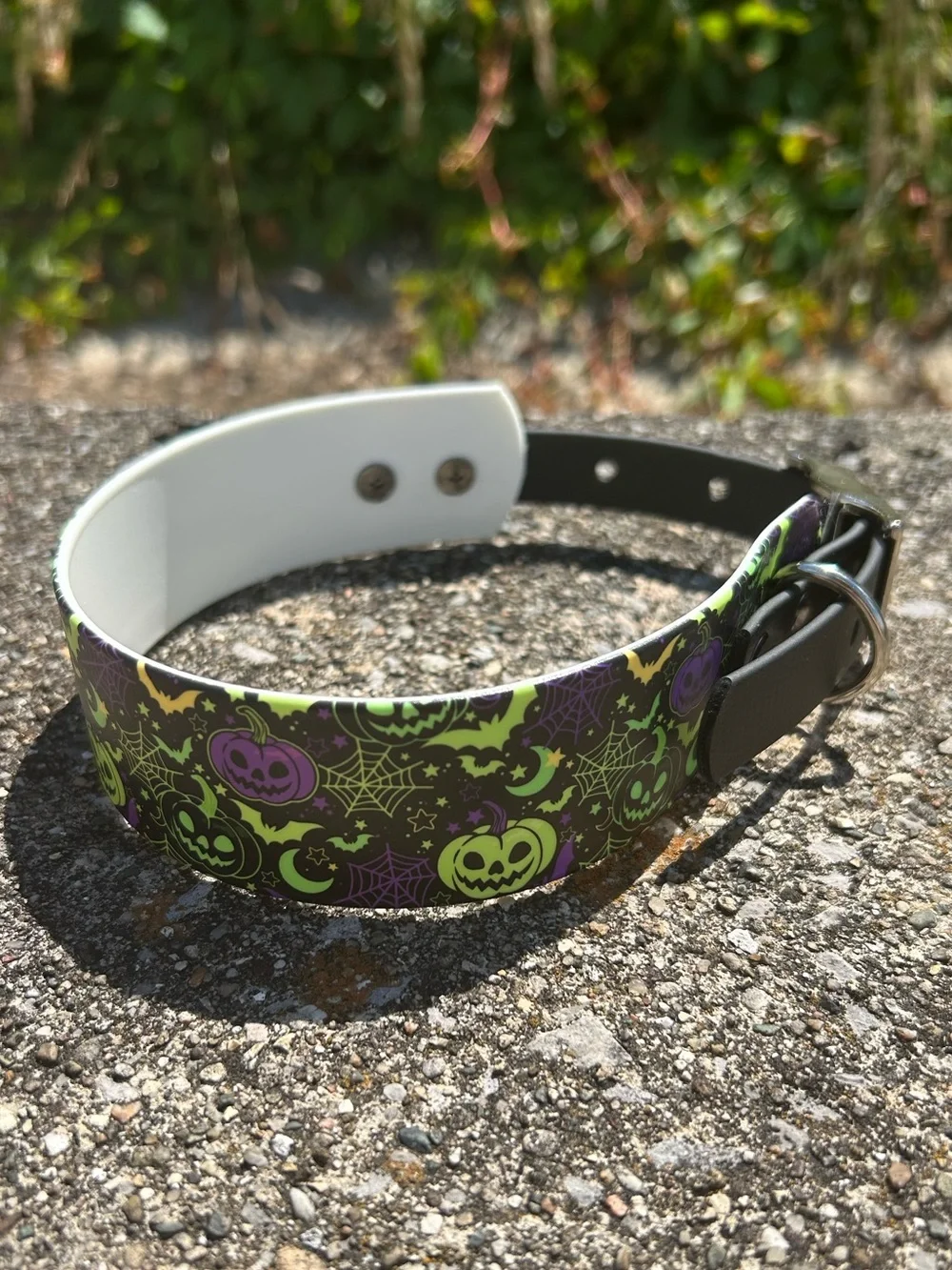 Biothane Collar -L2